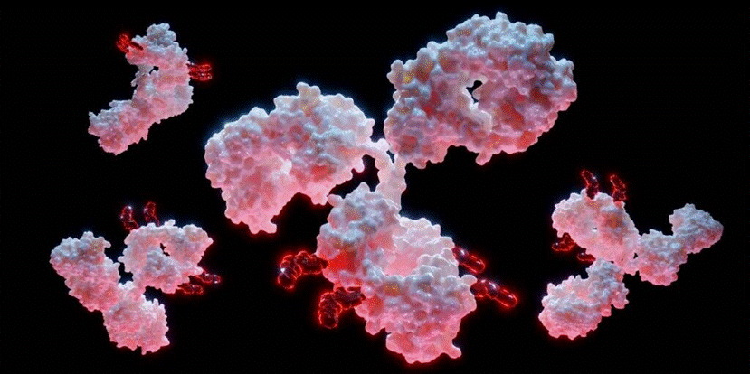 使用Excedion Pro Biopharma 超高分辨质谱仪对KADCYLA 进行表征