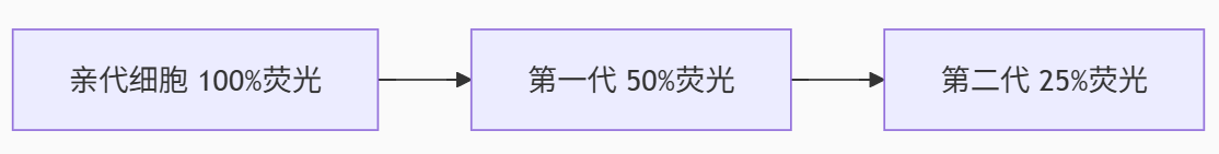 T细胞增殖实验的三种常用方法