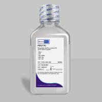 PBS(1X)细胞培养基