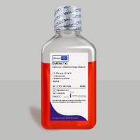 DMEM高糖培养基(含L-谷氨酰胺,丙-酮酸钠110mg/L;不含HEPES,双抗)