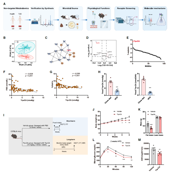 Cell：北大/山大团队发现新型菌源胆汁酸通过激活孤儿受体调控葡萄糖代谢