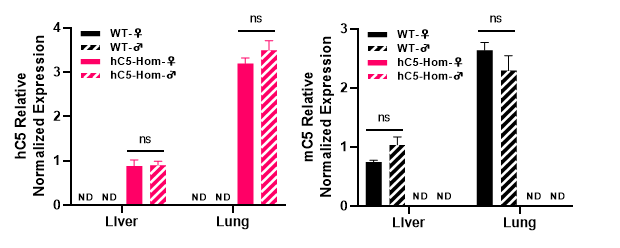 补体靶向治疗新纪元：C3/C5人源化小鼠模型助力siRNA与双抗药物研发突破