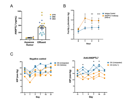 新品上架 | ANGPTL7 & NRL人源化小鼠：助力青光眼与视网膜色素变性广谱疗法研发