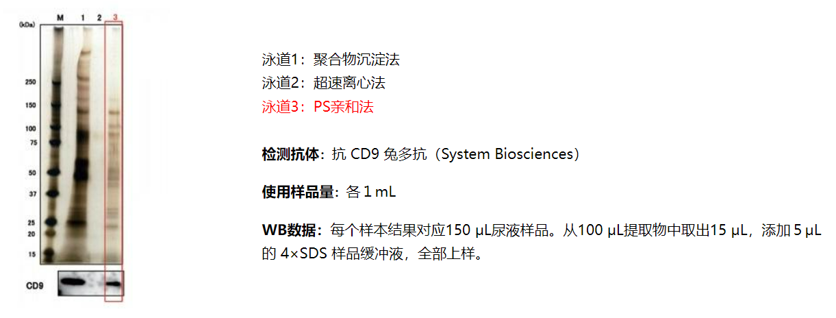 产品细节图片11