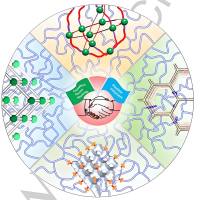聚乙烯醇水凝胶包载白细胞介素1β  PVA hydrogel@IL-1β