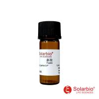 CLP0162 Cholecystokinin Flanking Peptide (desulfated) 激素和相关肽（Hormone and Related Peptides） 198483-37-3