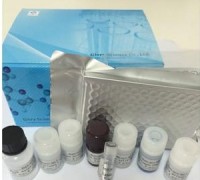儿茶素高效液相色谱法试剂盒