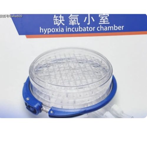 billups-rothenberg细胞缺氧研究小室