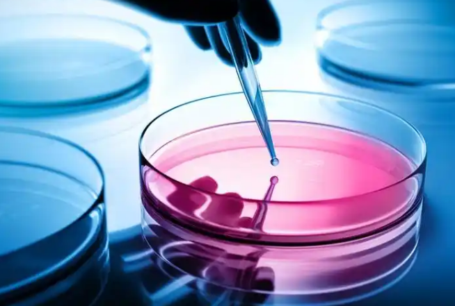 细胞培养过程污染问题解答参考