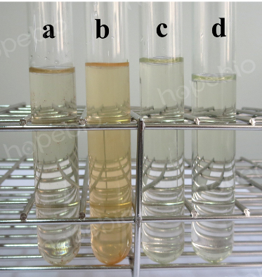 亚xi酸盐增菌液(SF)