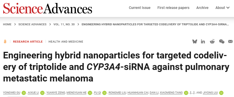 外泌体-脂质体杂化：DR5 靶向+双药共递+代谢调控三重buff拉满，精准打击肺转移黑色素瘤，从机制到PDX模型全是硬货！