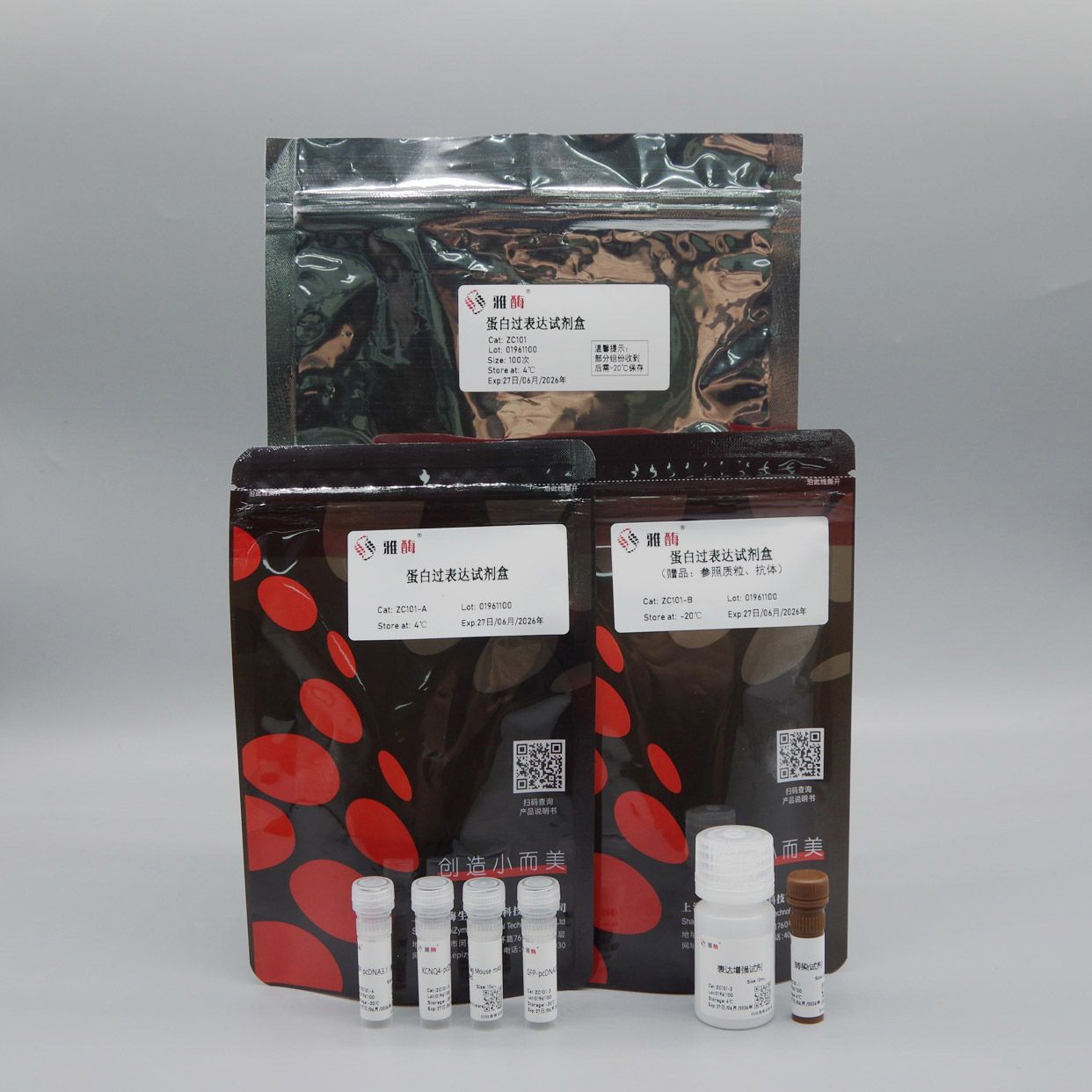 ZC101 蛋白过表达试剂盒