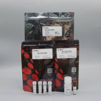 ZC101 蛋白过表达试剂盒