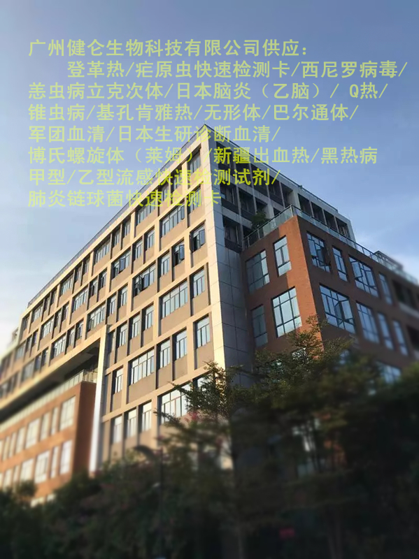 Panbio 登革病毒 IgM/IgG 抗体检测试剂盒