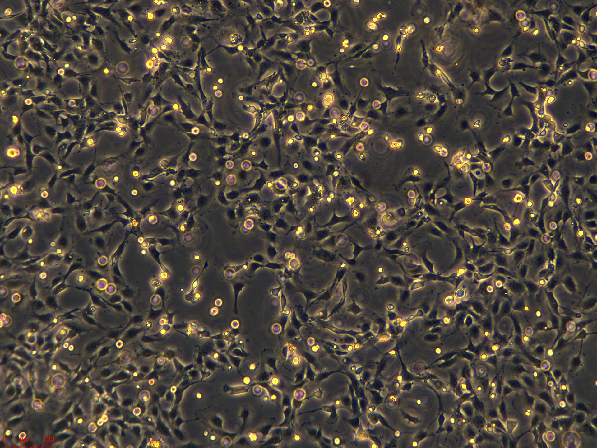 Project_HULEC-5a_ch00 (2).jpg