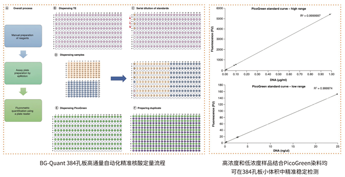 BG-Quant高通量荧光核酸定量系统