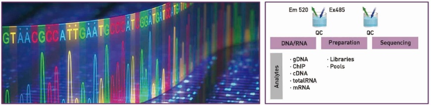 BG-Quant高通量荧光核酸定量系统