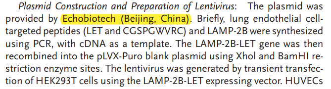 外泌体蛋白负载服务|蛋白膜内外工程化装载/靶向递送|酶和蛋白