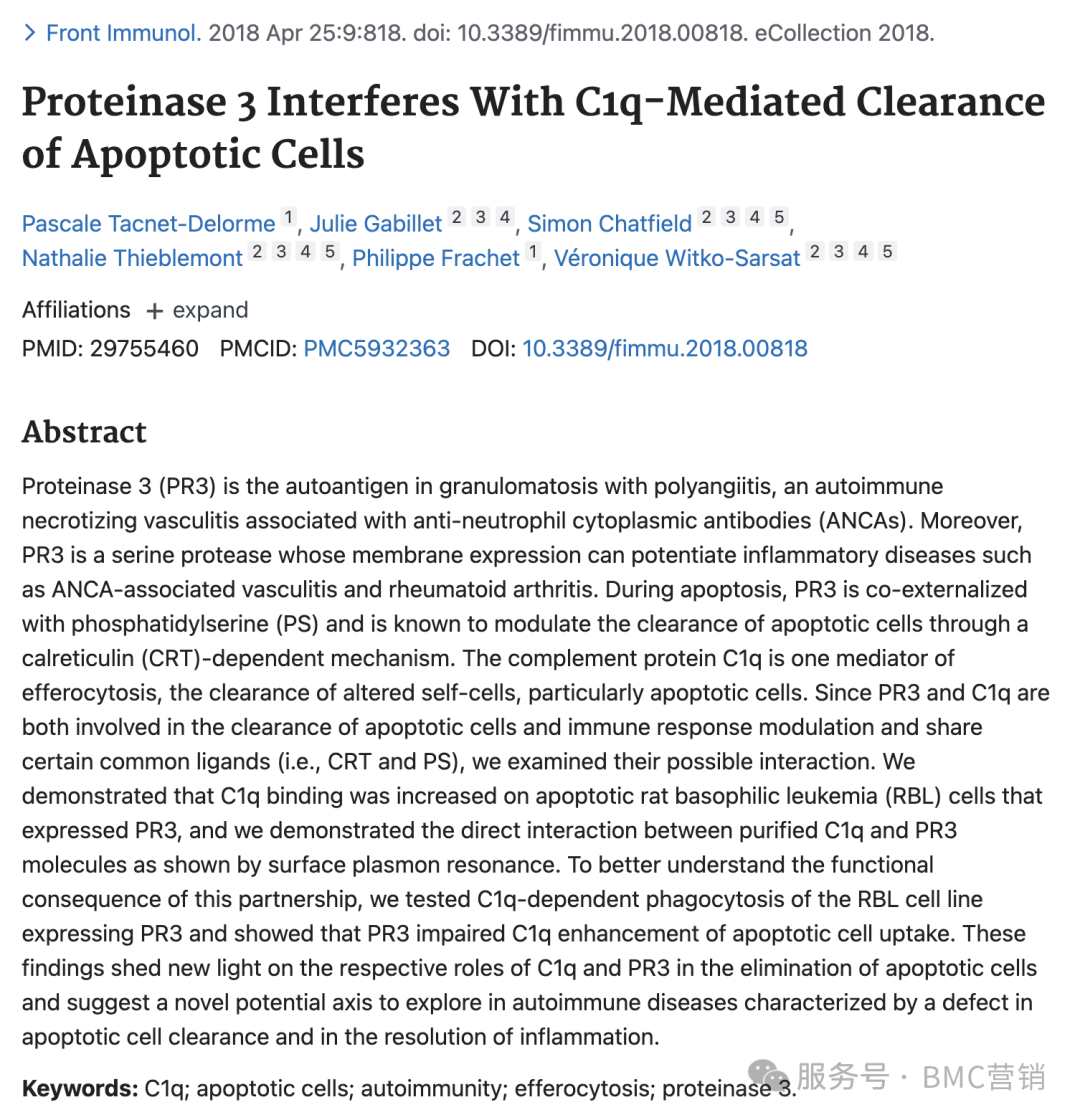免疫学前沿：PR3与C1q如何调控细胞‘善后’过程？