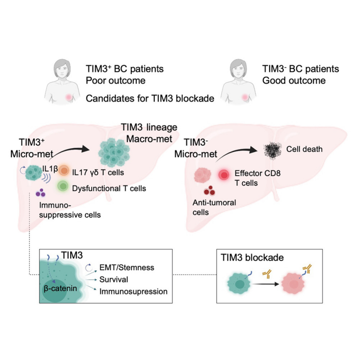 6388931113095425972128473