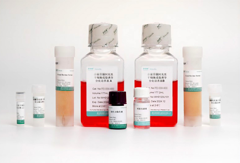 人骨髓间充质干细胞成脂诱导分化培养基：开启细胞研究新征程