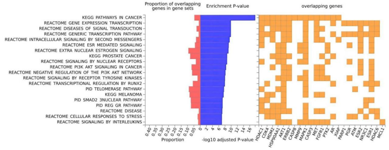 6388931435471592028103030