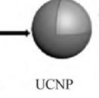 负载替拉扎明的上转换纳米颗粒被程序性死亡配体1(PD-L1)抗体修饰 TPZ@UCPN-PD-L1