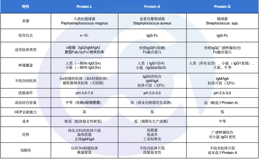 新品推荐：单一蛋白Protein L残留检测试剂盒