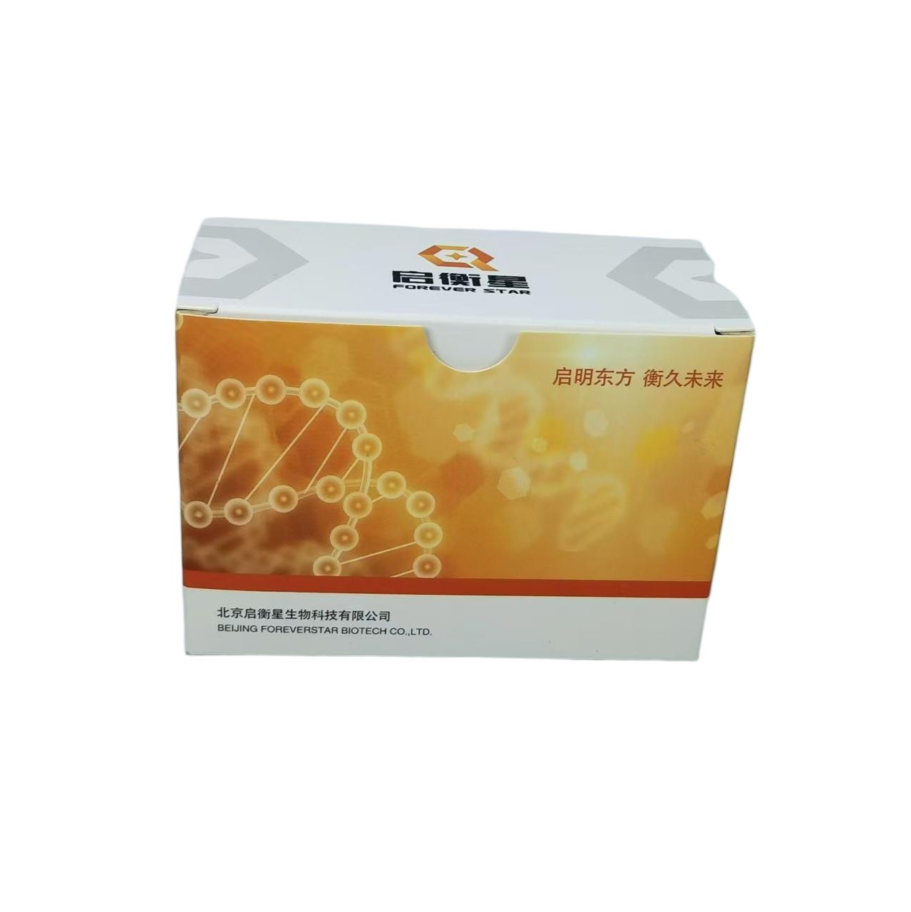 StarLigter PDX 模型小鼠细胞浸润状态检测试剂盒