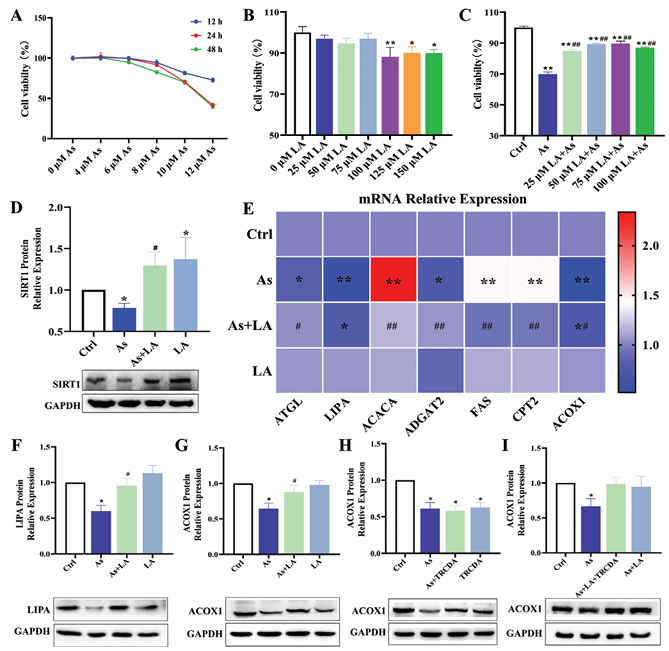 6388948207454641718605655