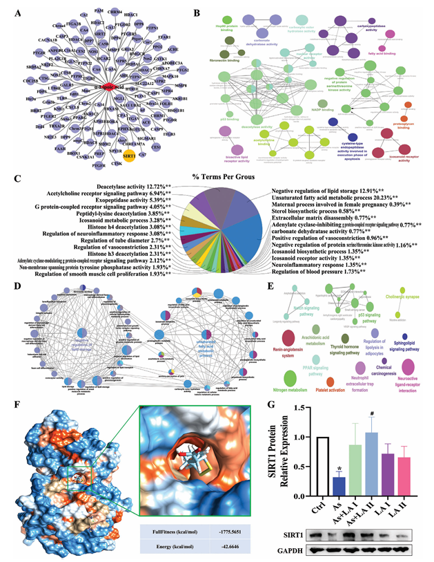 6388948229728682211368651