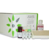 Panbio登革热病毒dengue快速检测试剂盒