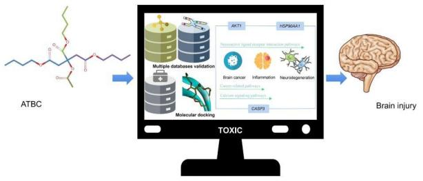 6388931338865102619346967