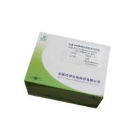 Rabbit  IL-1beta ELISA KIT 兔白介素1贝塔