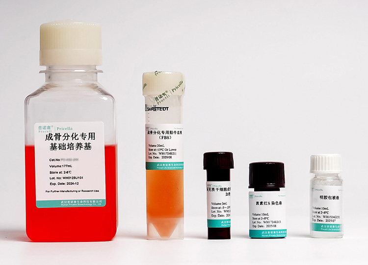 人脐带间充质干细胞成骨诱导分化培养基：解锁细胞成骨奥秘的科研利器
