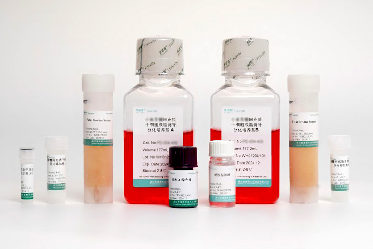 科研利器：人脐带间充质干细胞成脂诱导培养基