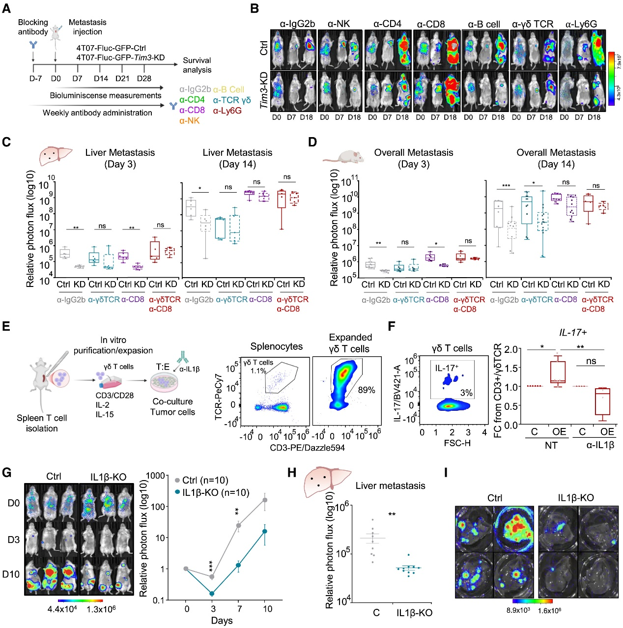 6388931139110988537215519