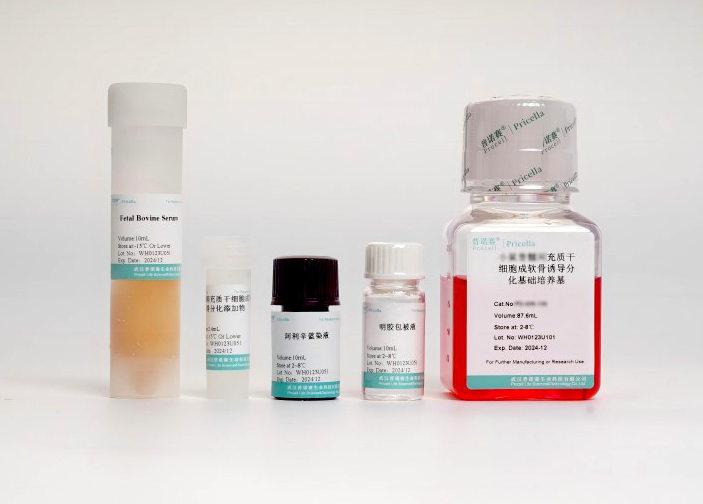 人脂肪间充质干细胞成软骨诱导分化培养基：科研探索的得力助手