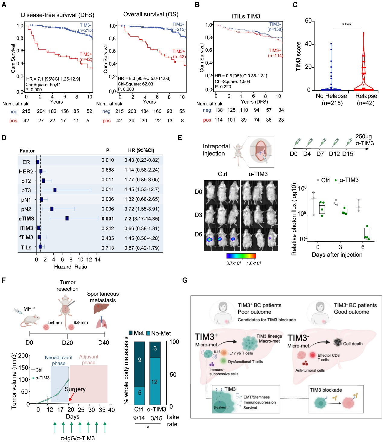 6388931142384590078585949