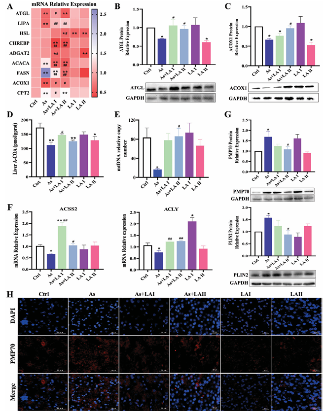 6388948224197749883098941