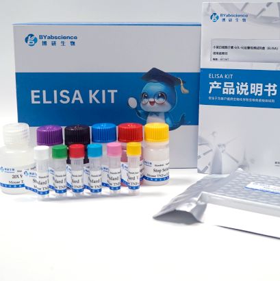 人肿瘤坏死因子α(TNF-α)ELISA 试剂盒