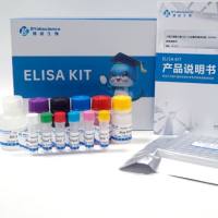人肿瘤坏死因子α(TNF-α)ELISA 试剂盒