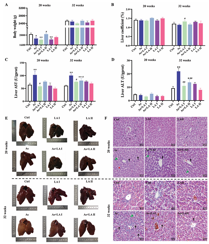 6388948217672572392158093