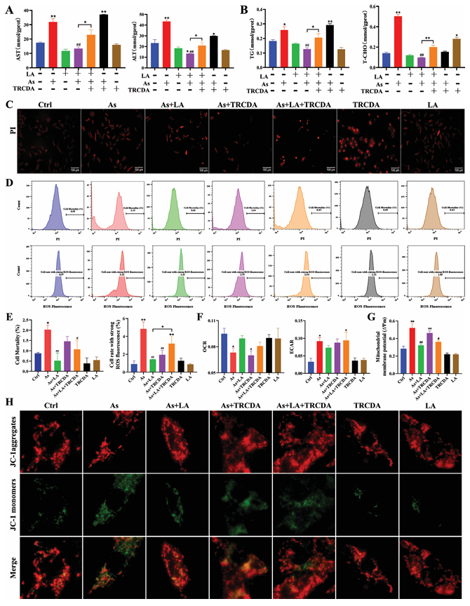 6388948205027090743498733