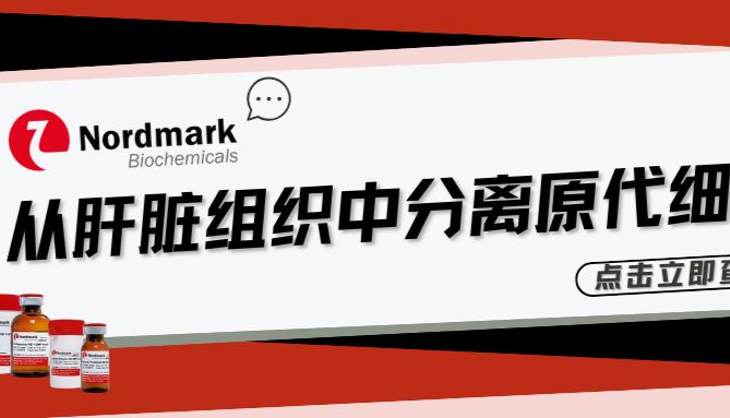 Nordmark胶原酶应用于从肝脏组织中分离原代细胞