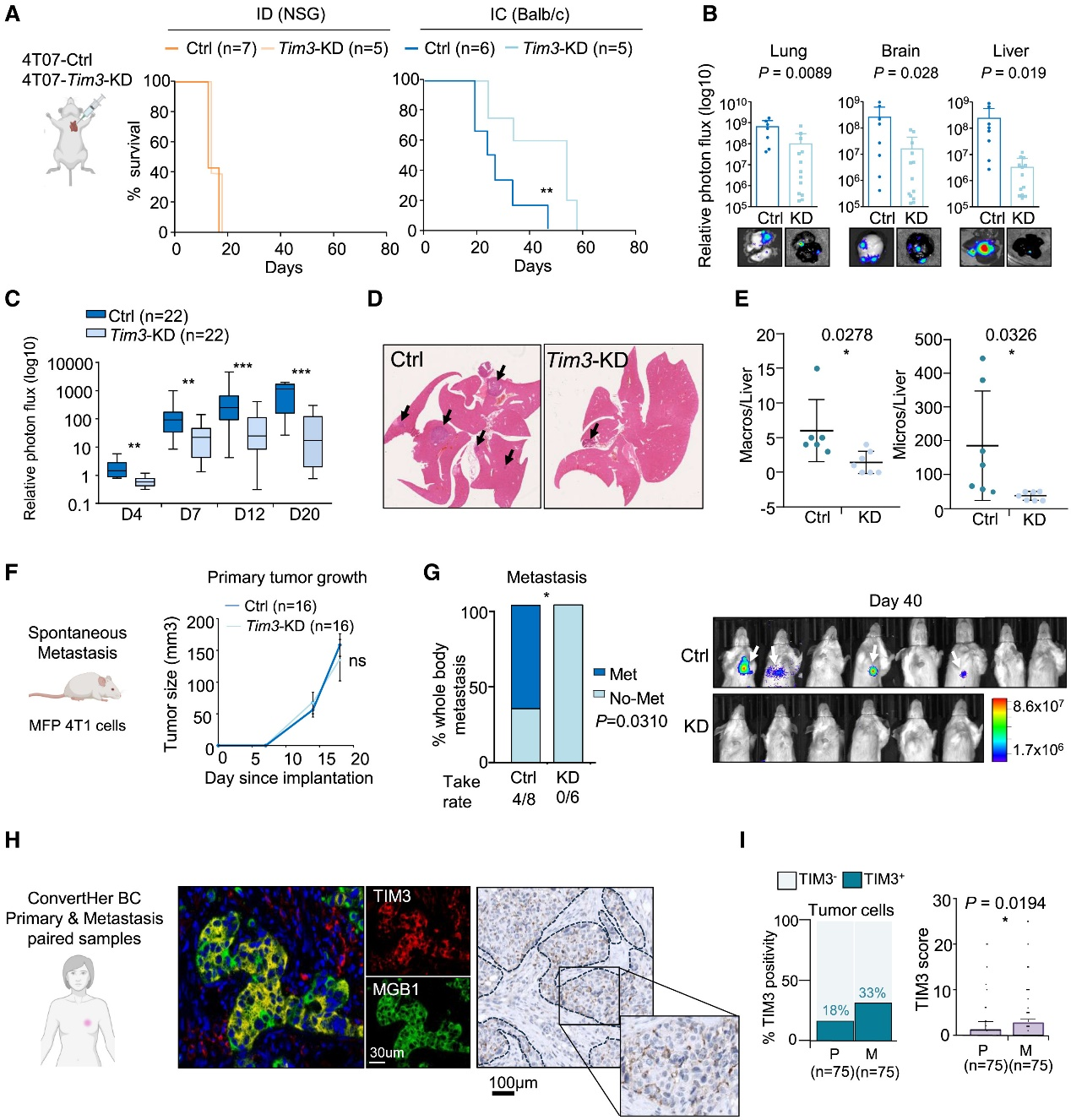 6388931117434811067213441