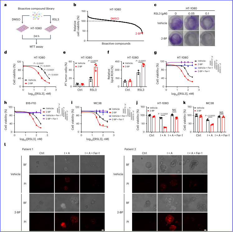 6388931231983821662766693