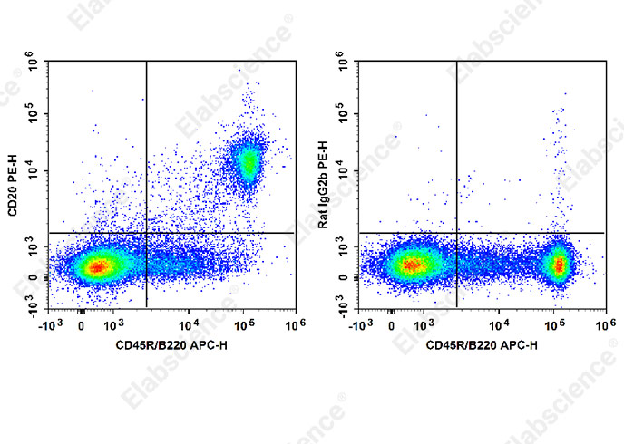 Elabscience PE Anti-Mouse CD20 Antibody [SA271G2]——高效B细胞检测与清除的流式利器