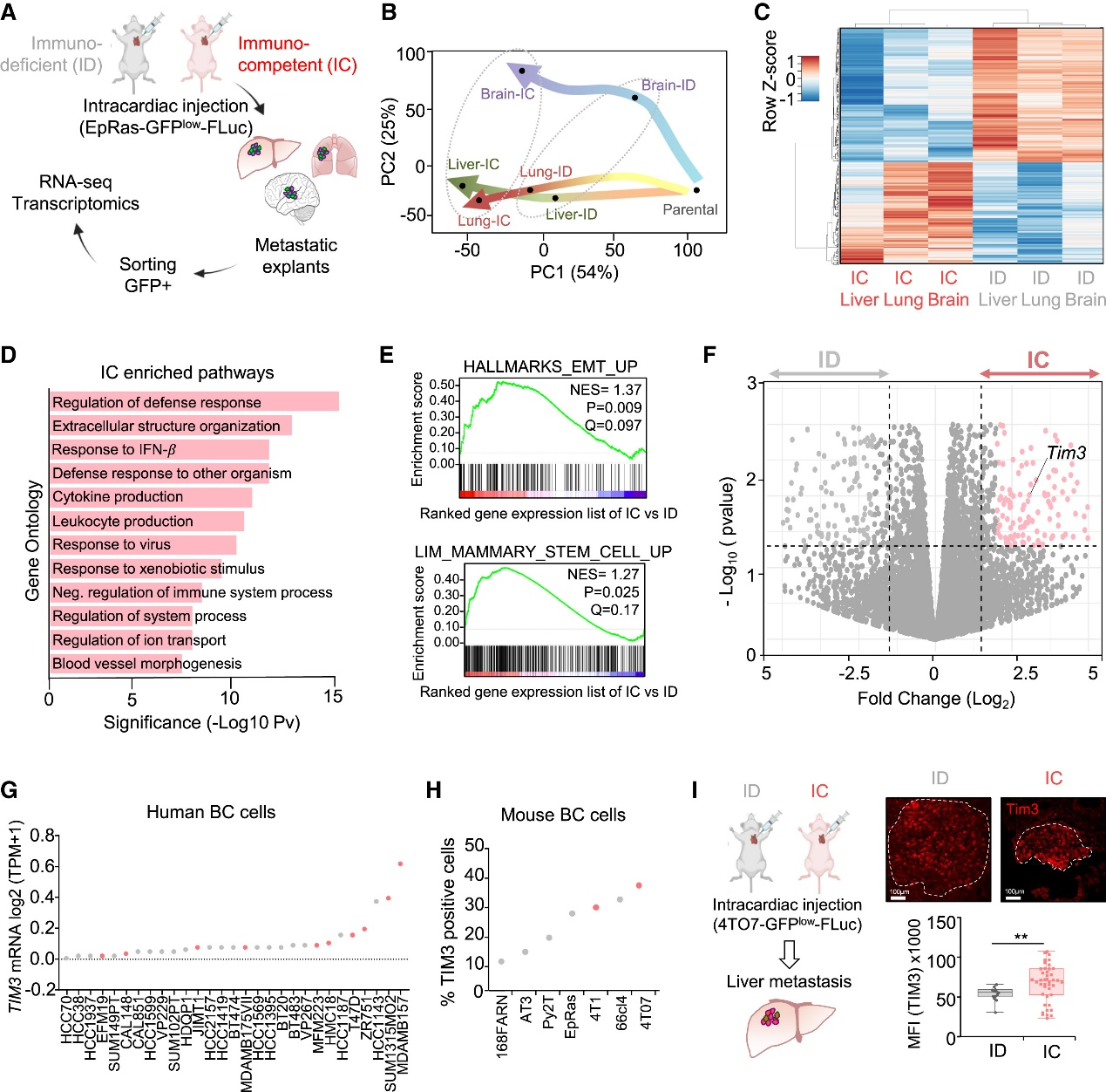 6388931115287600089798529