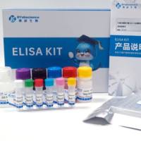 人丙二醛(MDA)ELISA 试剂盒